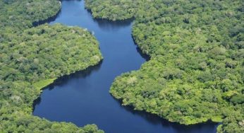 Brasil apresenta ao mundo as conquistas e recordes de sua política ambiental