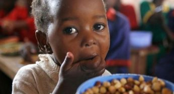 África debate alimentação escolar de olho no modelo brasileiro