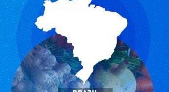 Políticas brasileiras reduziram o nanismo entre os mais pobres