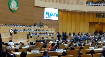 Agricultura e segurança alimentar no centro das preocupações da África