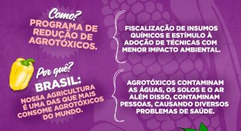 Alimento Saudável: um trunfo de Haddad para o viver bem