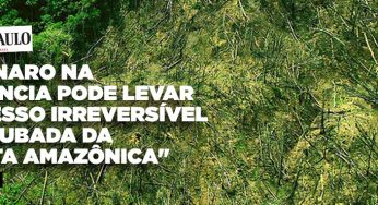 “Bolsonaro e seu bando deixaram claro qual é o programa antiecológico”, diz Marcelo Leite na Folha