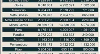 Propaganda de envios de mensagens por WhatsApp fala da ilegalidade da ação
