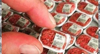 População brasileira é obrigada a mudar sua alimentação