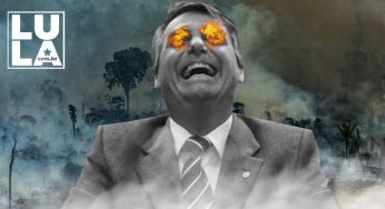 Enquanto Bolsonaro promove desmatamento recorde, interesse por preservação cresce no Brasil