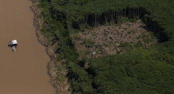Com orçamento reduzido para o meio-ambiente, Brasil responde por 40% do desmatamento no mundo