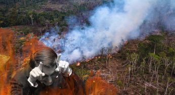 Desmatamento na Amazônia e no Cerrado cresce 20%