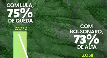 Desmatamento caiu 75% com Lula e aumentou 73% com Bolsonaro