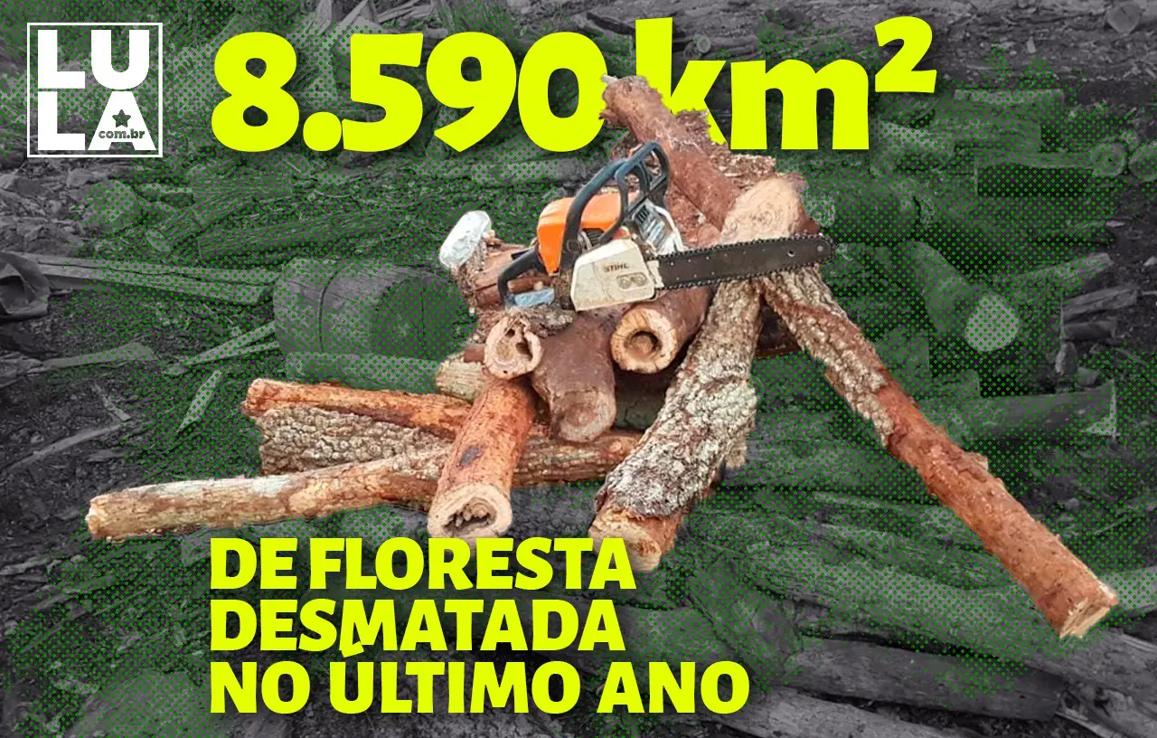 8.590 km² da Amazônia foram desmatados no último ano