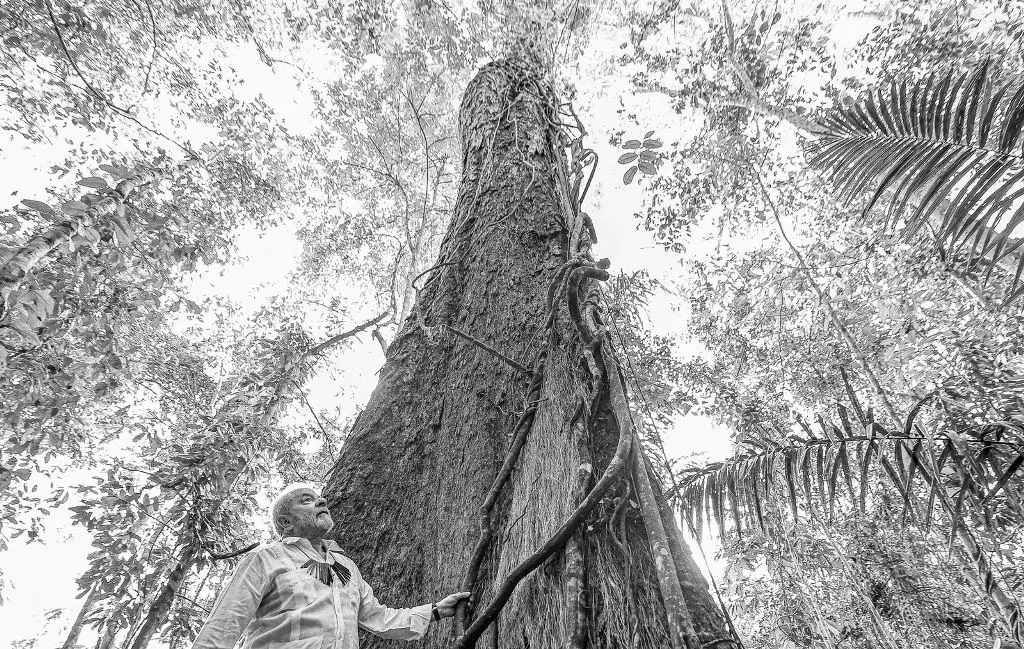 Lula visitou o Museu da Amazônia, em Manaus