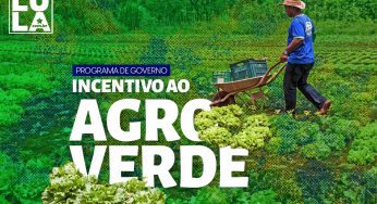 Programa de governo: crédito verde incentivará agricultura em área degradada por pastagens