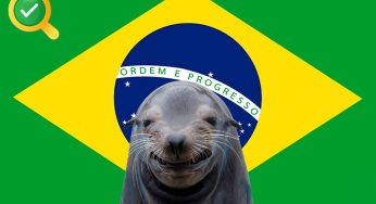 Foca na verdade! Participe dos novos grupos de Zap para continuar combatendo as mentiras!